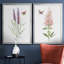 «Wildflower Botanical I», ensemble de 2 reproductions d'art-808463902-808463877-808463897