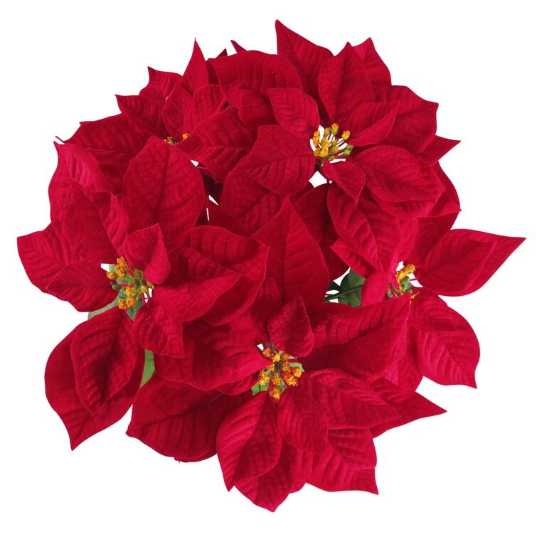 Diehl Poinsettia Stem (Set of 2) The Holiday Aisle