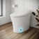 Streamline LT-792 Tankless 1.28 GPF Elongated Smart Toilet Bidet in White with Front/Rear Wash, Massage Wash, Auto Flush, Soft Close, Nightlight, Auto Open and Auto Close, UV Sterilization, Foot Sensor, Deodorization, Auto Flush,Heated Seat,Dryer,Remote