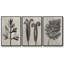 Blossfeldt Botanical I 3 pièces-97758452-97758449
