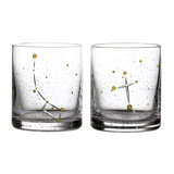 Stellar Frontiers Tumbler Pair