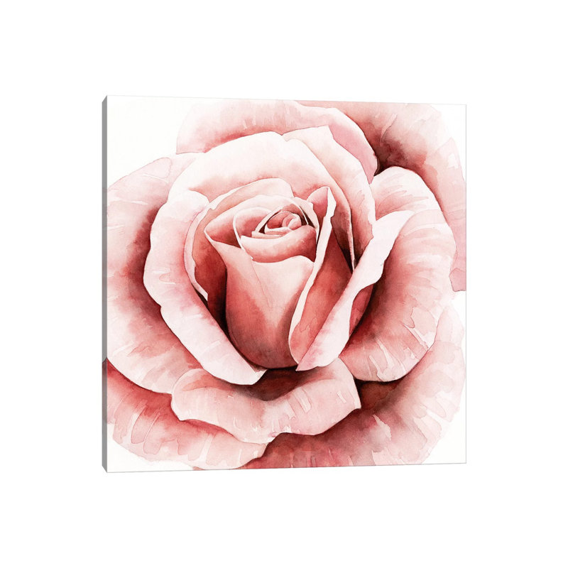 Pink Rose II by Grace Popp - Wrapped Canvas Painting, 45.72 cm H x 45.72 cm W
