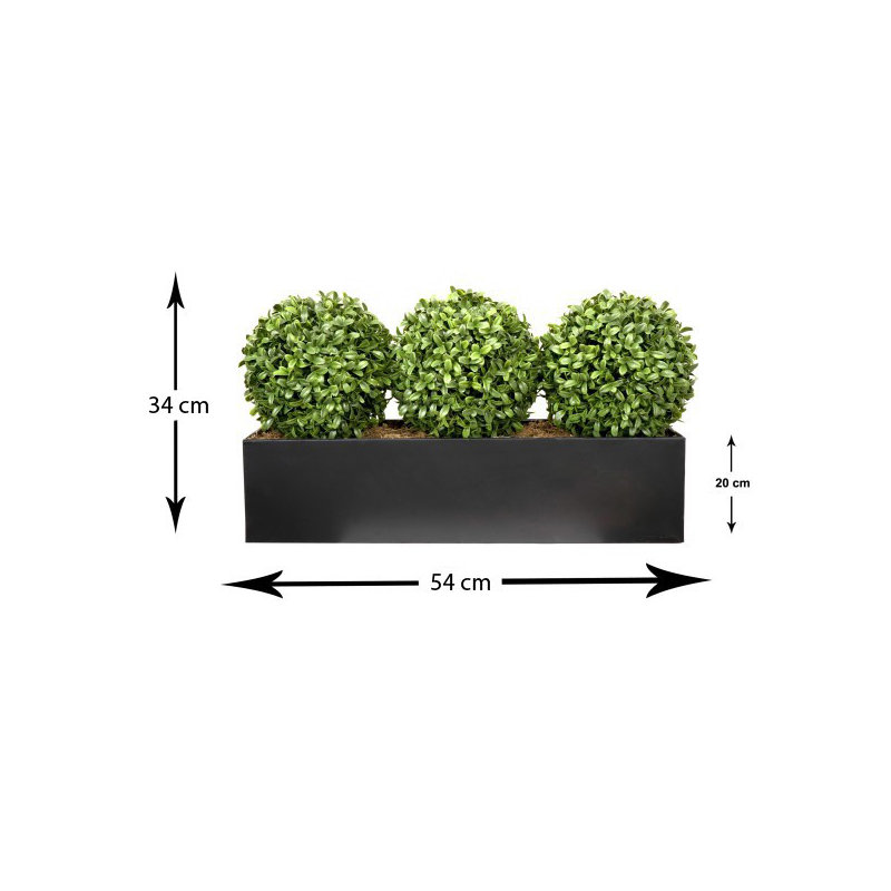 Topiary Ball (54cm) Window Box Black, Triple, Black