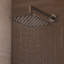 Eleganza Rain Shower Head