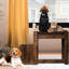 Lit superposé amovible pour animaux de compagnie, à plusieurs niveaux pour chiens et chats, avec coussin et bloc-notes, intérieur, animaux de compagnie pour chat, siège perchoir