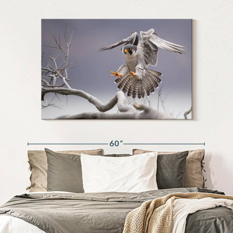 Peregrine Falcon, 34" H x 51" W