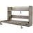 Modern Elegant Design Flat bed