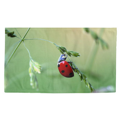 Seltzer Indoor Doormat