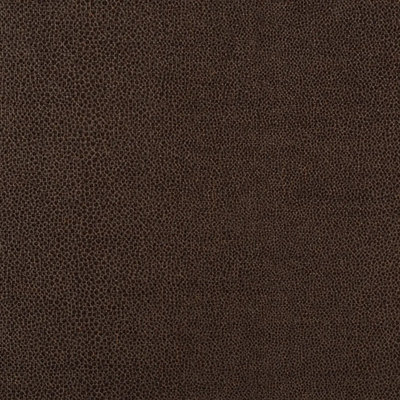 Gloss Shagreen Fabric