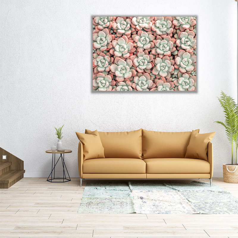 «Succulents Plant», reproduction d'art sur toile, H 12 po x l 16 po