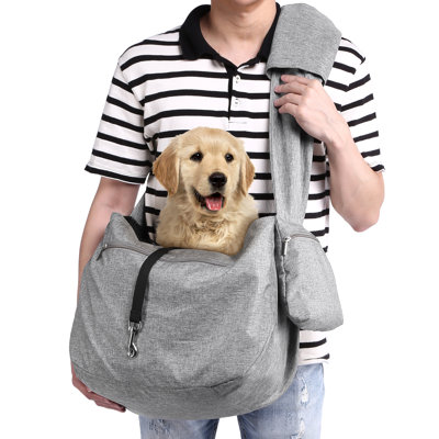 Emilius Collapsible Pet Carrier
