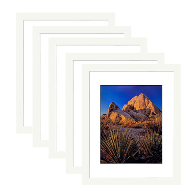 16''x20'' 5 Piece photo frame set