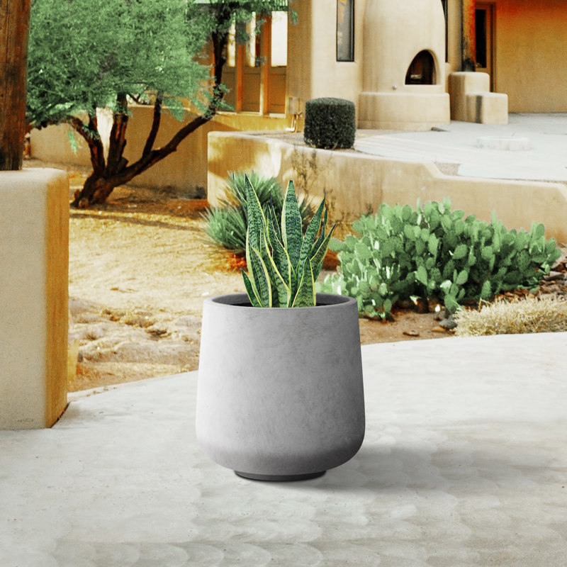 Pot à fleurs en béton Laihla, Gris foncé, H 13,4 po x l 13 po x P 13 po