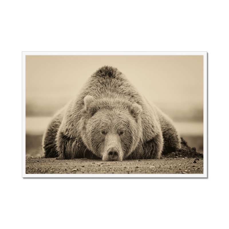 Deep Sleep by PHBurchett - Print, 65cm H x 95cm W, White Framed Paper Print