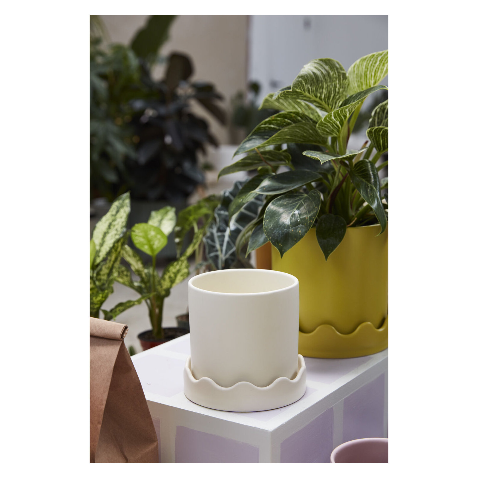Winterview Pot with Saucer 7.5"x 7.25", Beige, 5.75" H x 6" W x 6" D