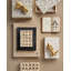 Gerri Dot Box Set Of 2