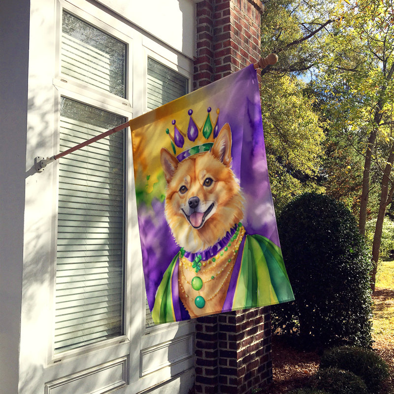 Drapeau de maison de Mardi Gras en polyester double face H 28 po x l 40 po