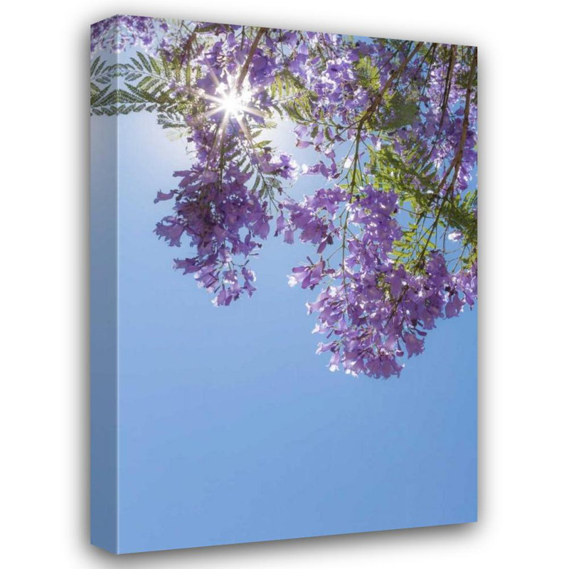 «Ebern Designs Mahan, Kathy», reproduction d'art sur toile tendue: Jacaranda Tree I