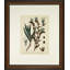 Verde Tinted Botanical III Print