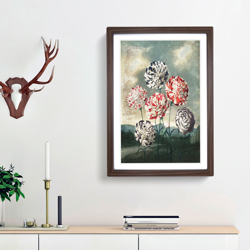 Group of Carnations by R.J. Thornton - Picture Frame Painting Print, 36cm H x 27cm W x 2cm D, Walnut Framed