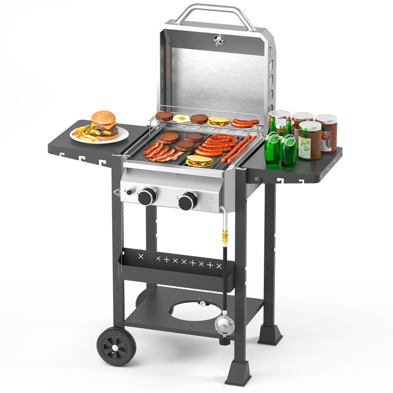 Barbecue au propane à 2 brûleurs avec poêle à frire en fonte et grilles, grille en acier inoxydable à sortie de 16 000 BTU pour la cuisine extérieure, le patio, la fête dans la cour