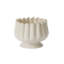 Tulipe compote-615924354