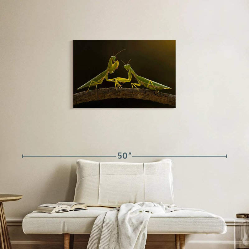 Brampt Praying Mantis Duo, 20" H x 30" W