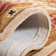 Alger Vintage Performance Rug