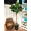 7' Faux Fiddle Leaf Fig Tree