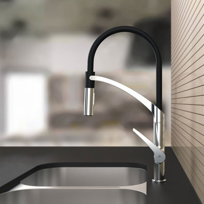 Belfry Kitchen Metcalf Pull Out Kitchen Faucet