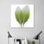 Artichoke - Wrapped Canvas Print-665718939