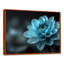 Monochromes bleu, noir, dahlia beauté - Dahlia, art mural-1627312167-1627312169