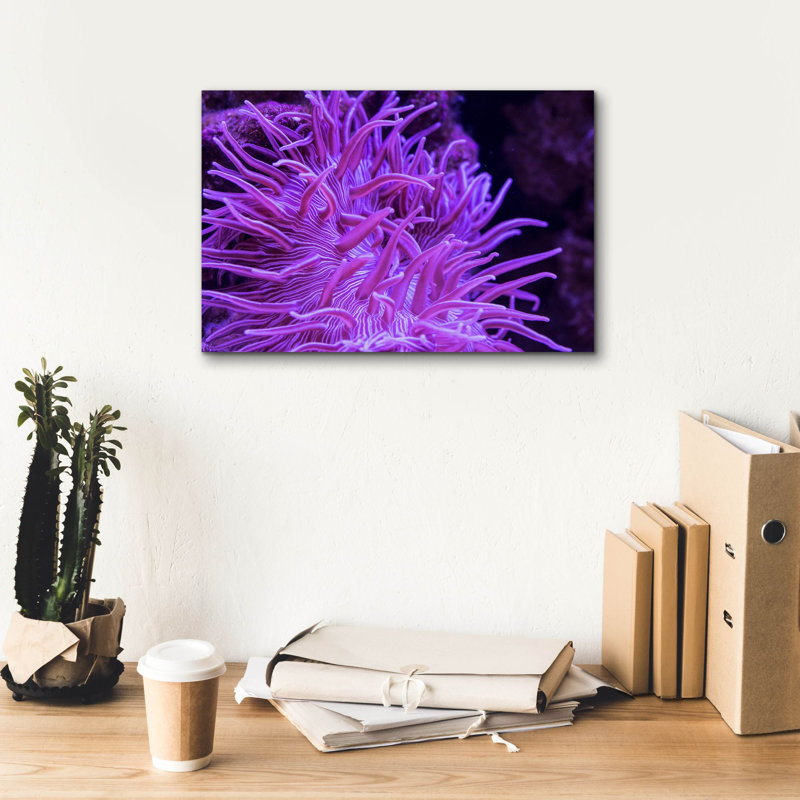 «Striped Long Tentacle Anemone» par Epic Portfolio, art mural sur toile, H 12 po x l 18 po x P 0,75 po