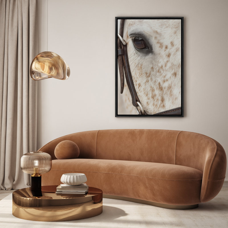 Gros plan, œil de cheval avec bride, art mural encadré, Noir, H 24 po x l 16 po