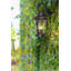 Lanterne murale d’extérieur 3 lumières Urbanek