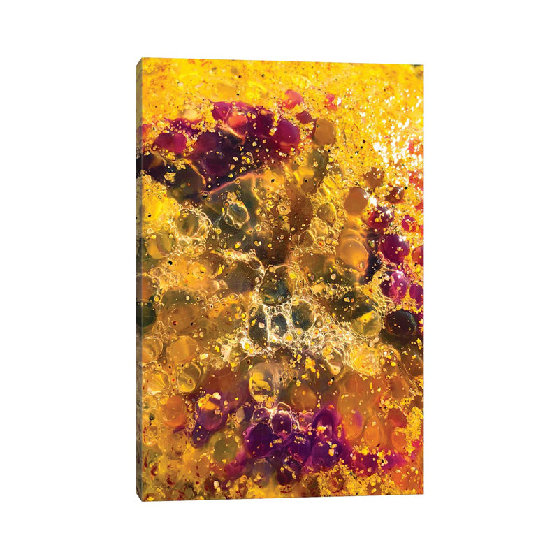 Jellyfish On The Beach Of Cannes by Emmanuel Signorino - Wrapped Canvas Print, 30.48cm H x 20.32cm W