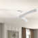 Burwell 62'' Ceiling Fan with LED Lights
