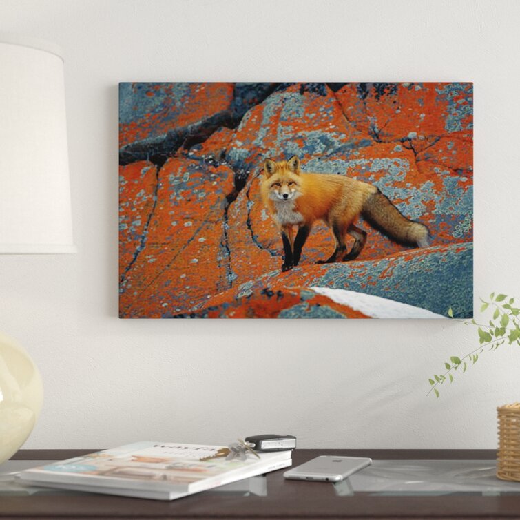red fox artist