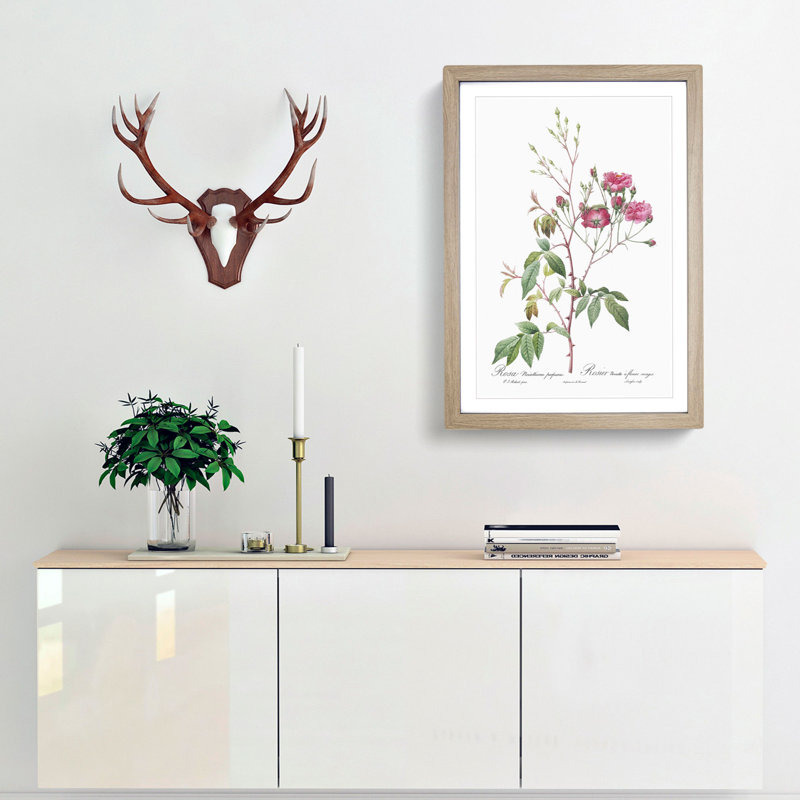 Noisett Rose in Pink by Pierre-Joseph Redoute - Framed Print, Oak Framed, 65cm H x 48cm W x 2cm D