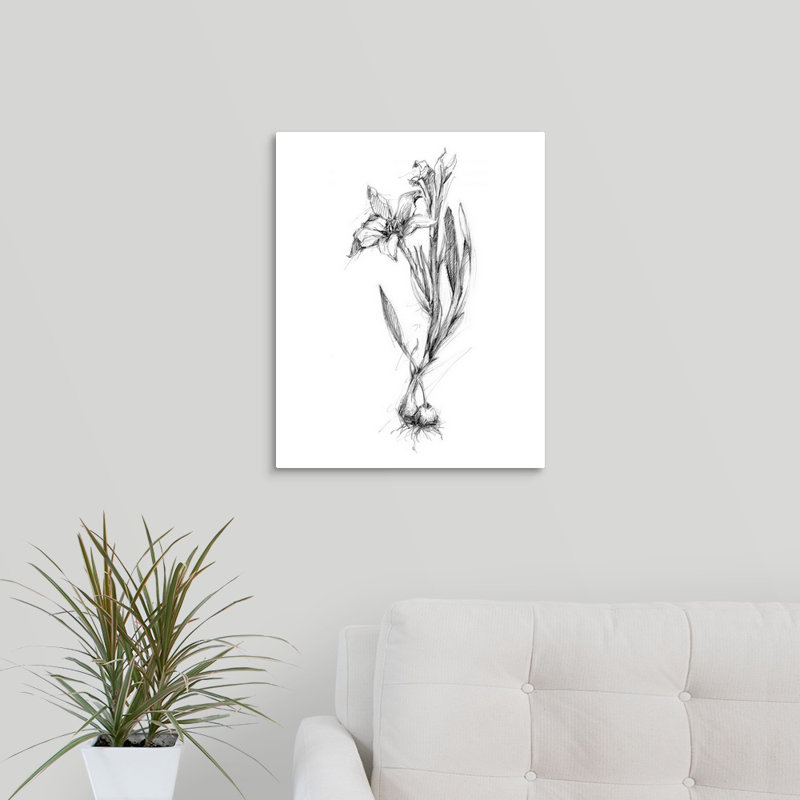 «Bloom Sketches I» par The Novogratz, reproduction d'art sur toile, Toile tendue, H 20 po x l 16 po x P 1,25 po