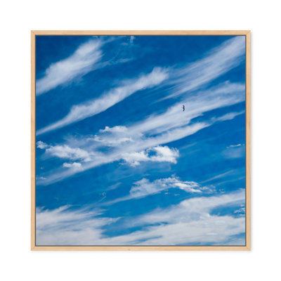 Sky High In Blue