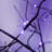 3 Pac Halloween Spooky Tree Set