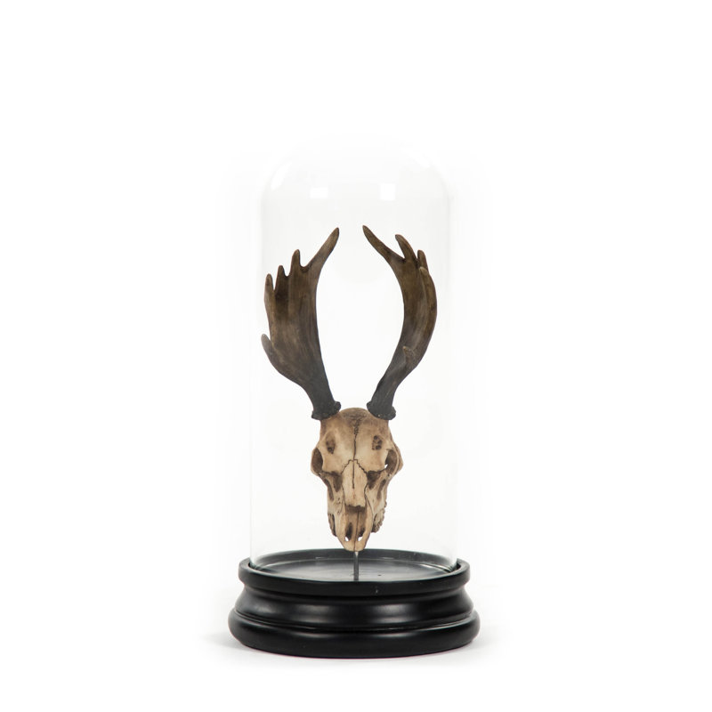 Deer Skull with Bel Glass Sculpture