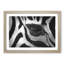 The Eye of a Zebra - Picture Frame Painting Print-56712318-56712317