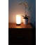 Alasan Lamp