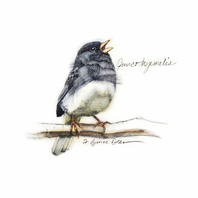 Étude Songbird VI