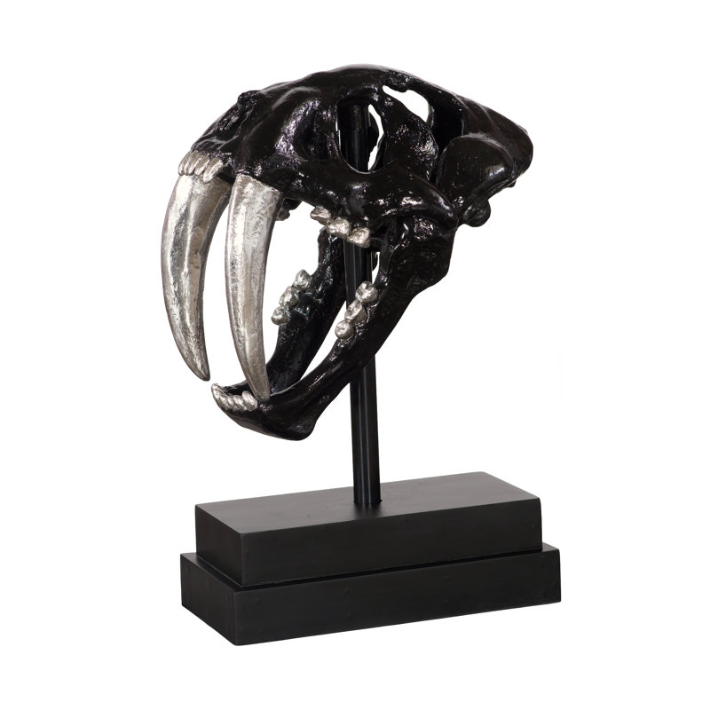 Saber Tooth Tiger Skull