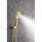 Complete Shower System