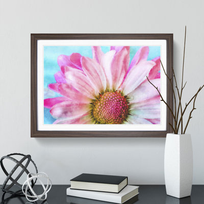 Pink Daisy Flower - Picture Frame Graphic Art Print