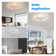 Cristol 2-Light Dimmable LED Flush Mount Ceiling Light with Remote Control